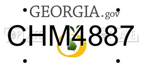 CHM4887 Georgia License Plate