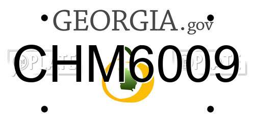CHM6009 Georgia License Plate