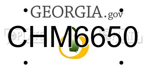 CHM6650 Georgia License Plate