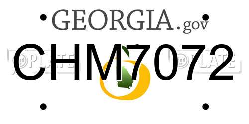 CHM7072 Georgia License Plate