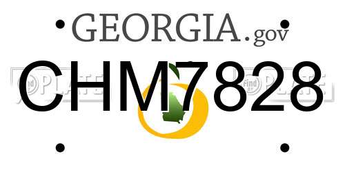 CHM7828 Georgia License Plate