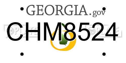 CHM8524 Georgia License Plate