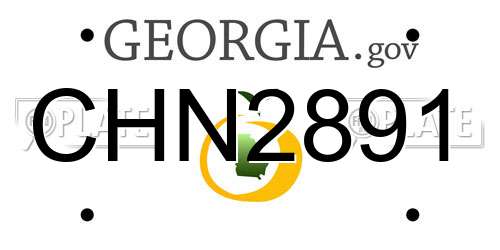 CHN2891 Georgia License Plate