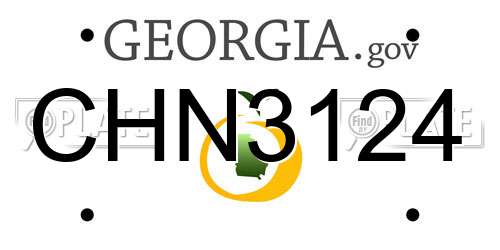 CHN3124 Georgia License Plate