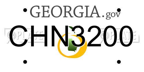CHN3200 Georgia License Plate