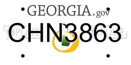 CHN3863 Georgia License Plate