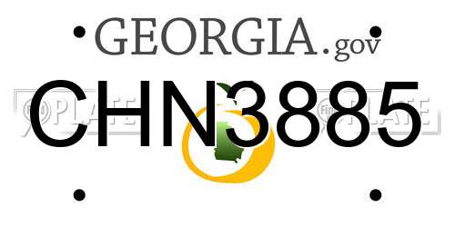 CHN3885 Georgia License Plate