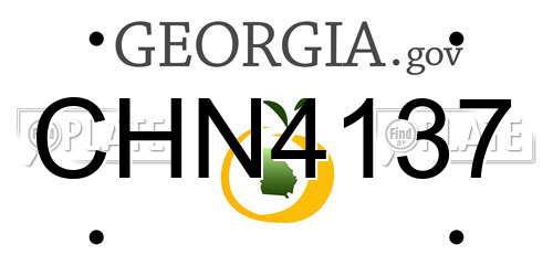 CHN4137 Georgia License Plate