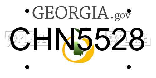 CHN5528 Georgia License Plate