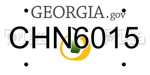 CHN6015 Georgia License Plate