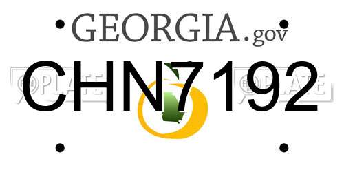 CHN7192 Georgia License Plate