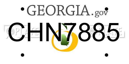 CHN7885 Georgia License Plate