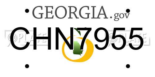 CHN7955 Georgia License Plate
