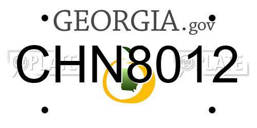 CHN8012 Georgia License Plate