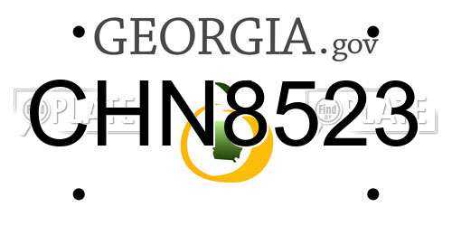 CHN8523 Georgia License Plate