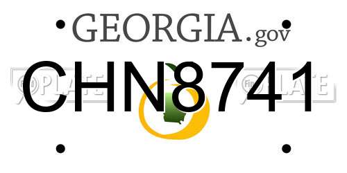 CHN8741 Georgia License Plate