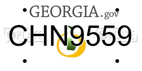 CHN9559 Georgia License Plate