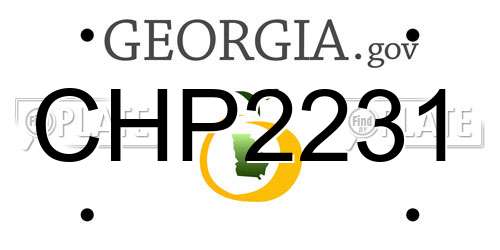 CHP2231 Georgia License Plate