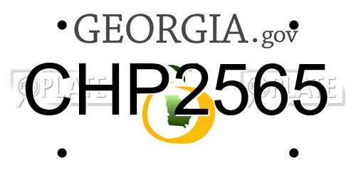 CHP2565 Georgia License Plate