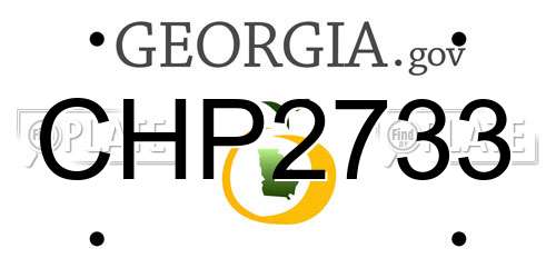 CHP2733 Georgia License Plate