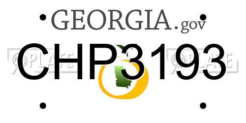CHP3193 Georgia License Plate