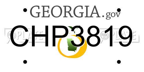 CHP3819 Georgia License Plate