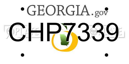 CHP7339 Georgia License Plate