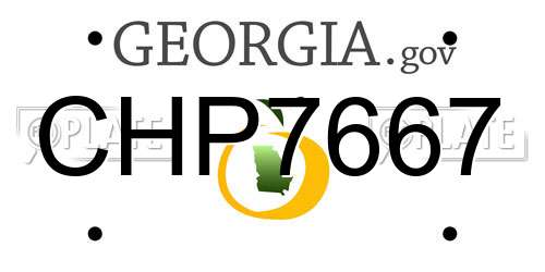 CHP7667 Georgia License Plate