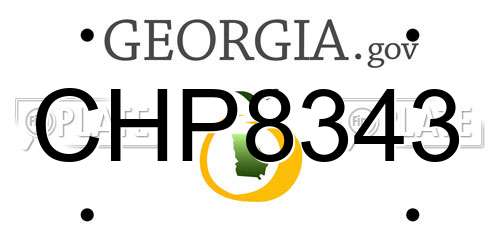 CHP8343 Georgia License Plate