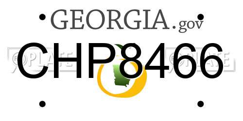 CHP8466 Georgia License Plate