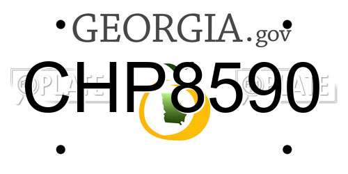 CHP8590 Georgia License Plate