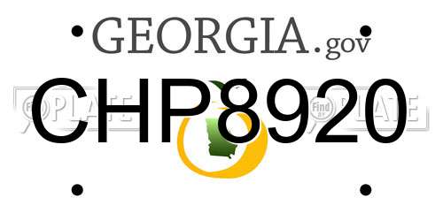 CHP8920 Georgia License Plate