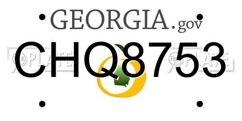 CHQ8753 Georgia License Plate