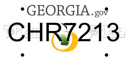 CHR7213 Georgia License Plate