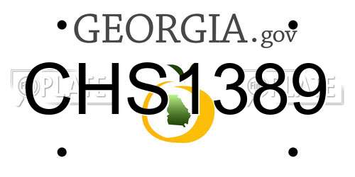 CHS1389 Georgia License Plate