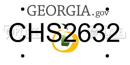 CHS2632 Georgia License Plate