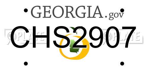 CHS2907 Georgia License Plate