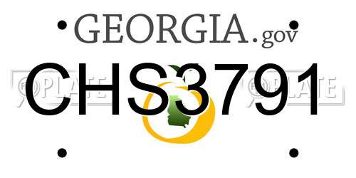 CHS3791 Georgia License Plate