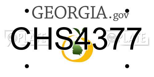 CHS4377 Georgia License Plate