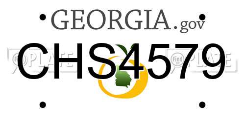 CHS4579 Georgia License Plate