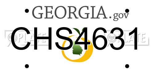 CHS4631 Georgia License Plate