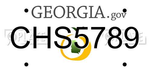 CHS5789 Georgia License Plate