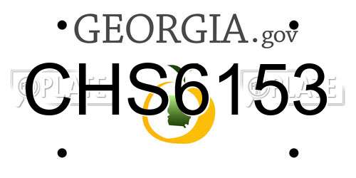CHS6153 Georgia License Plate