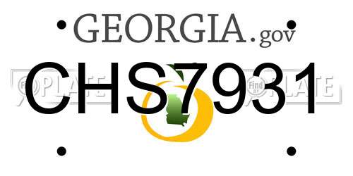 CHS7931 Georgia License Plate