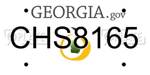 CHS8165 Georgia License Plate
