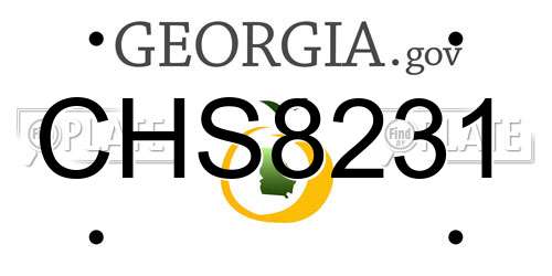 CHS8231 Georgia License Plate