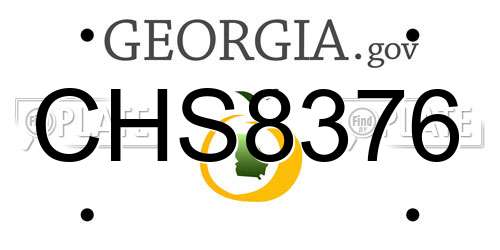 CHS8376 Georgia License Plate