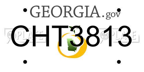 CHT3813 Georgia License Plate