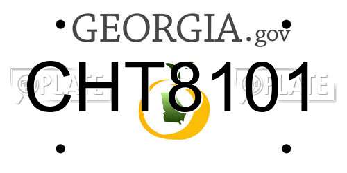 CHT8101 Georgia License Plate