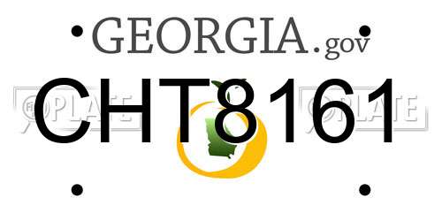 CHT8161 Georgia License Plate